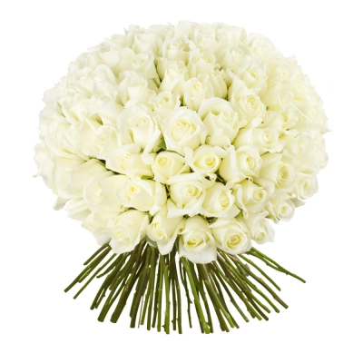 Роскошный букет из 101 белой розы – воплощение бесконечной любви Барыш Ульяновская область Роскошный букет из 101 белой розы – воплощение бесконечной любви Барыш Ульяновская область