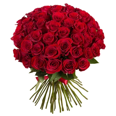 Букет «О, Шарман!» – 51 роскошная эквадорская роза Барыш Ульяновская область Букет «О, Шарман!» – 51 роскошная эквадорская роза Барыш Ульяновская область