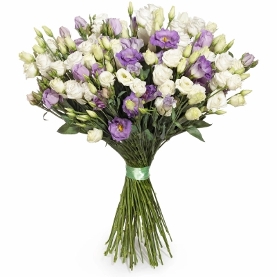 Изысканный букет из белых и фиолетовых эустом – гармония контрастов Барыш Ульяновская область Изысканный букет из белых и фиолетовых эустом – гармония контрастов Барыш Ульяновская область