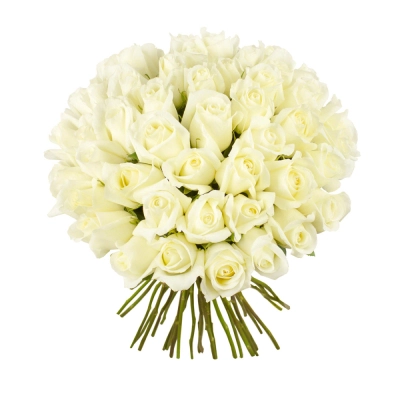 Роскошный букет из 51 белой розы – символ безграничной преданности Барыш Ульяновская область Роскошный букет из 51 белой розы – символ безграничной преданности Барыш Ульяновская область