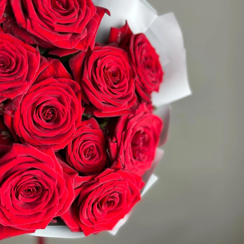 Букет «Красный бархат» – роскошь эквадорских роз Барыш Ульяновская область Букет «Красный бархат» – роскошь эквадорских роз Барыш Ульяновская область