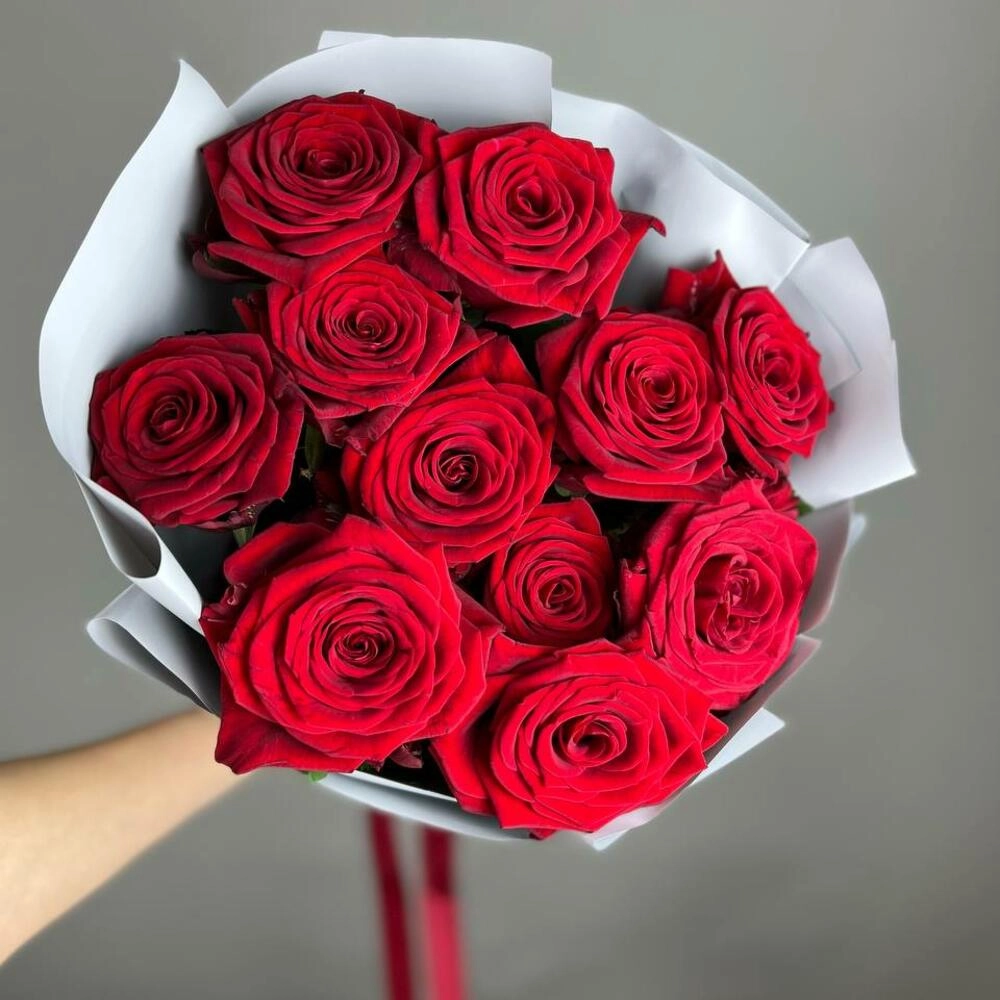 Букет «Красный бархат» – роскошь эквадорских роз Барыш Ульяновская область Букет «Красный бархат» – роскошь эквадорских роз Барыш Ульяновская область