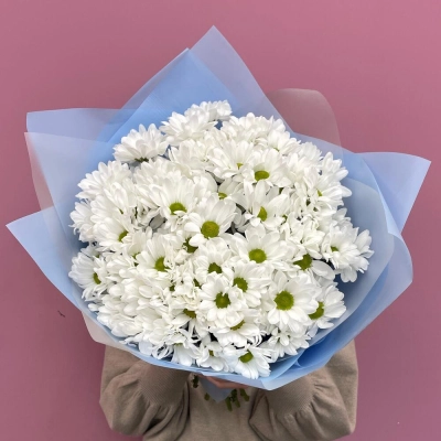 Букет «Ромашковое поле» – свежесть белых хризантем Барыш Ульяновская область Букет «Ромашковое поле» – свежесть белых хризантем Барыш Ульяновская область