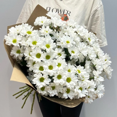 Букет «Летняя свежесть» – дыхание лета в белых хризантемах Барыш Ульяновская область Букет «Летняя свежесть» – дыхание лета в белых хризантемах Барыш Ульяновская область