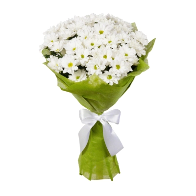 Пышный букет из хризантем – элегантность в каждом лепестке Барыш Ульяновская область Пышный букет из хризантем – элегантность в каждом лепестке Барыш Ульяновская область