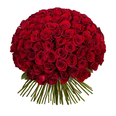 Букет из 101 красной розы – символ бесконечной страсти Барыш Ульяновская область Букет из 101 красной розы – символ бесконечной страсти Барыш Ульяновская область