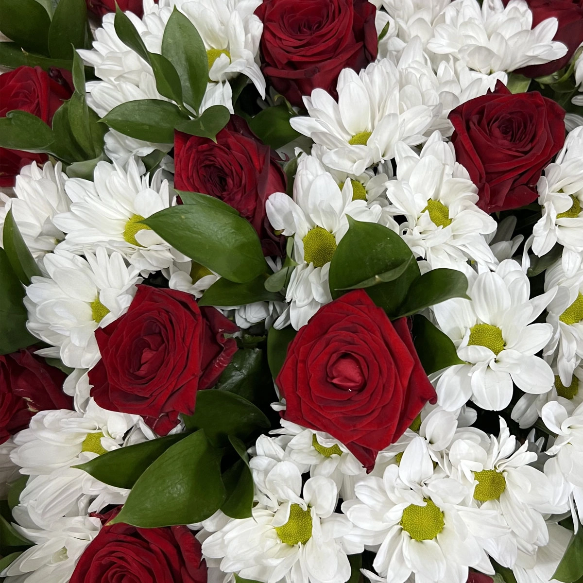 Букет «Романтика» — гармония красных роз и белоснежных хризантем Барыш Ульяновская область Букет «Романтика» — гармония красных роз и белоснежных хризантем Барыш Ульяновская область