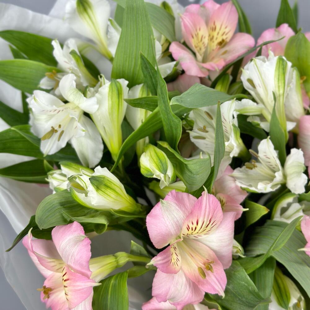 Букет «Нежность» – трогательное сочетание белых и розовых альстромерий Барыш Ульяновская область