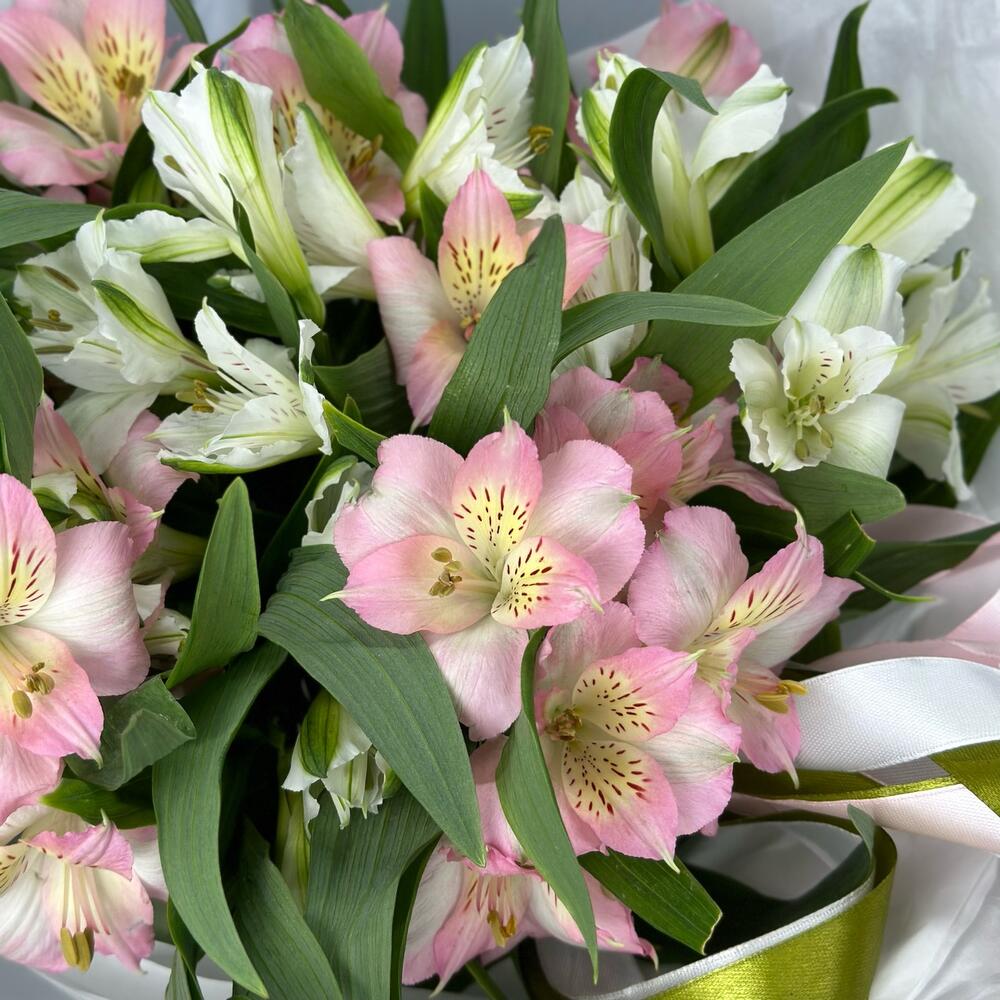 Букет «Нежность» – трогательное сочетание белых и розовых альстромерий Барыш Ульяновская область