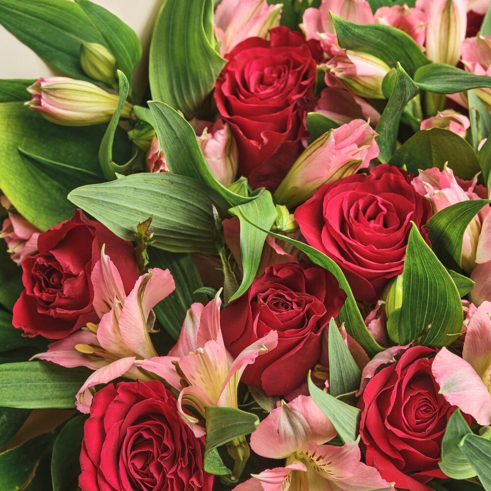 Букет «Нежность слов» — гармония красных роз и нежных альстромерий Барыш Ульяновская область