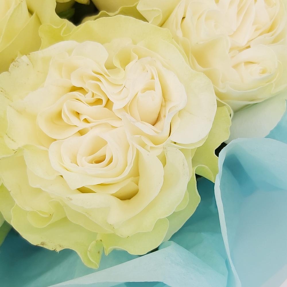 Букет «Кружевное облачко» – 11 белоснежных роз в нежной упаковке Барыш Ульяновская область