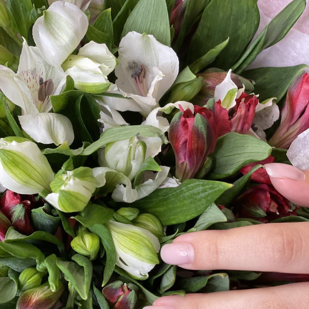 Букет «Люблю»– страсть и чистота в красно-белых альстромериях Барыш Ульяновская область